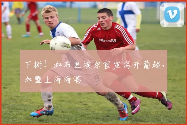 下树！加布里埃尔官宣离开葡超，加盟上海海港