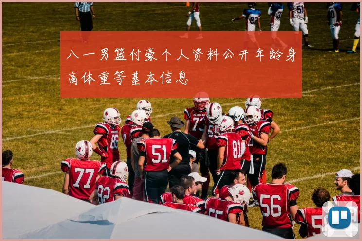 八一男篮付豪个人资料公开年龄身高体重等基本信息