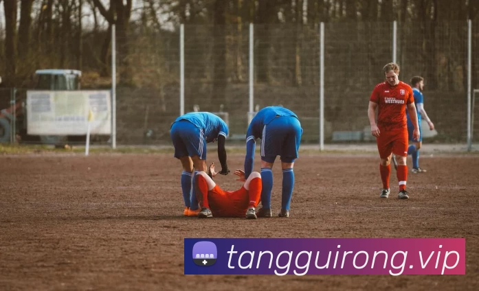 「开云中国官方网站」Kaiyun·登录入口 - 科技集团服务体系